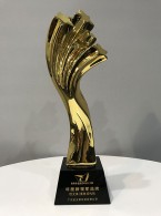 年度新领军品牌