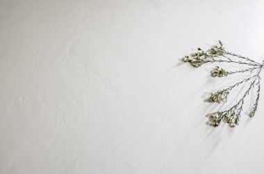 清新系 - 奶油纯