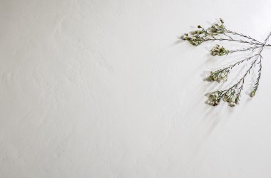 清新系 - 奶油纯